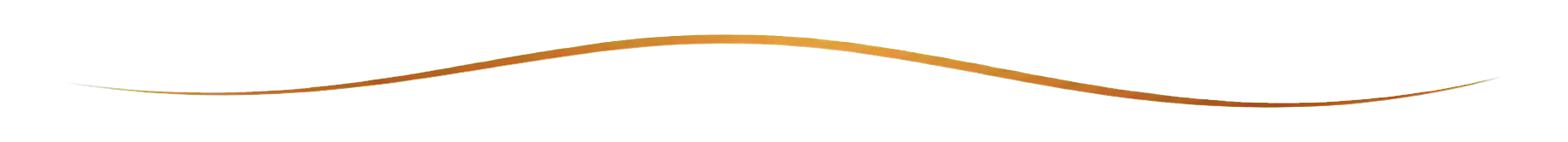 stop pain thin gold divider transparent cropped
